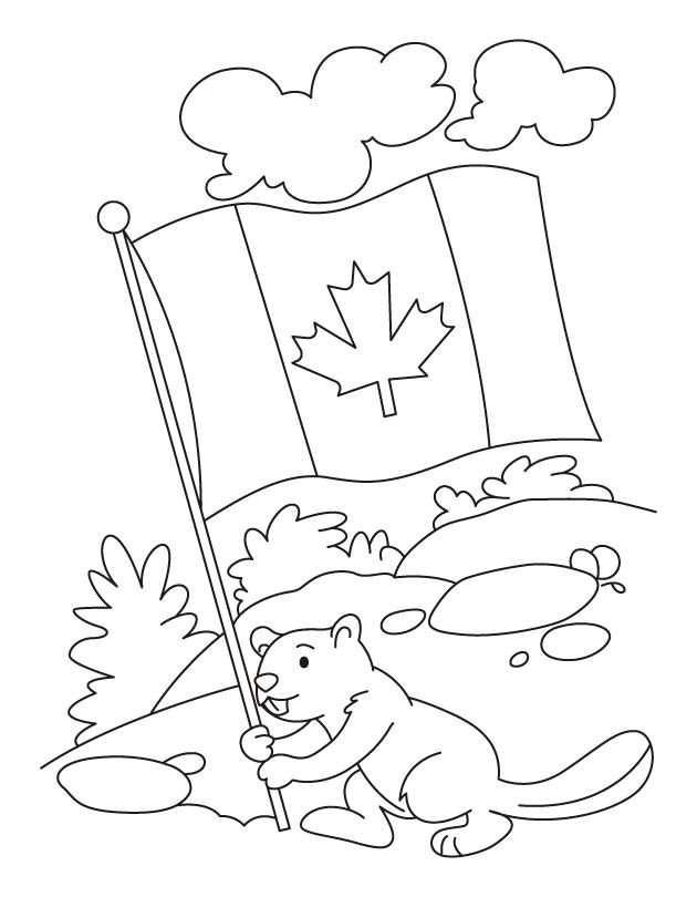 castor tient le drapeau canadien Coloriage