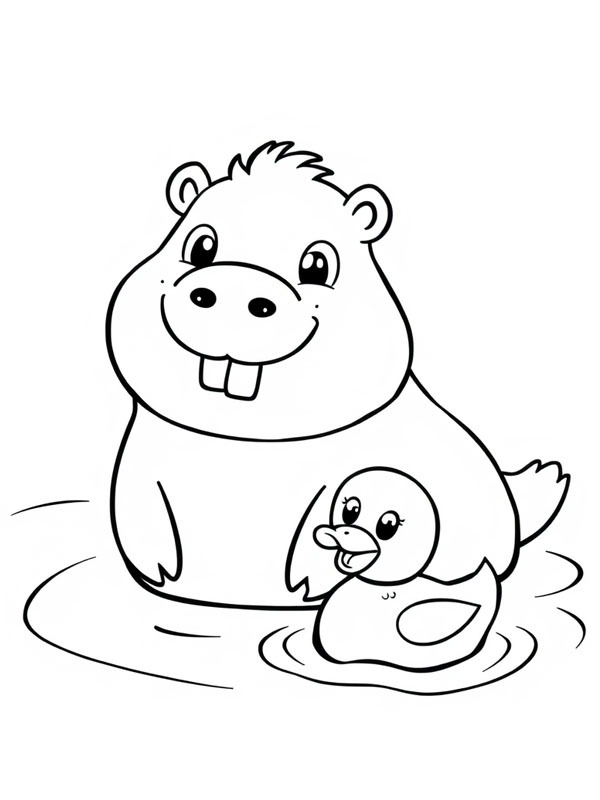 Capybara nage avec un canard Coloriage Capybara nage avec un canard Coloriage