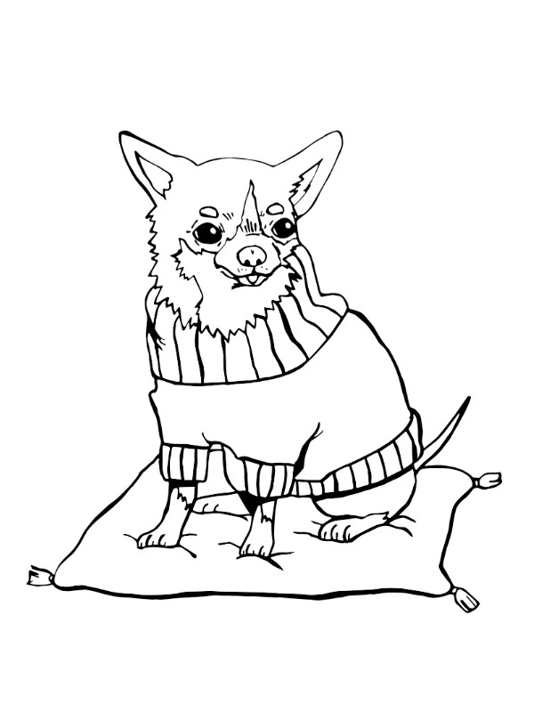 Chihuahua (chien) Coloriage