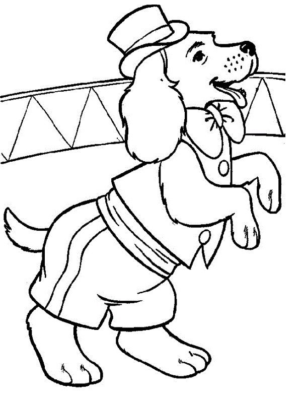 chien de cirque Coloriage chien de cirque Coloriage