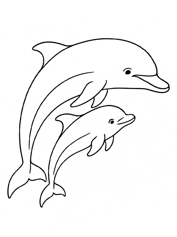 Dauphin avec bébé Coloriage Dauphin avec bébé Coloriage