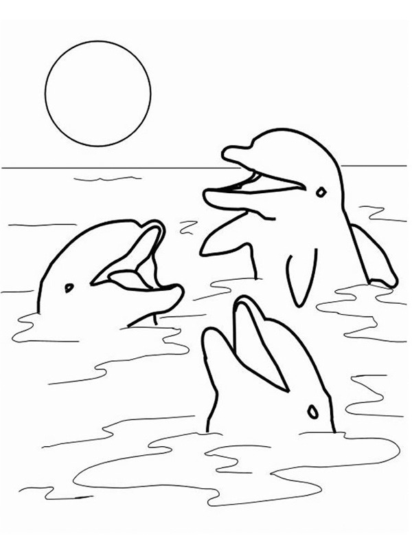 dauphins dans la mer Coloriage