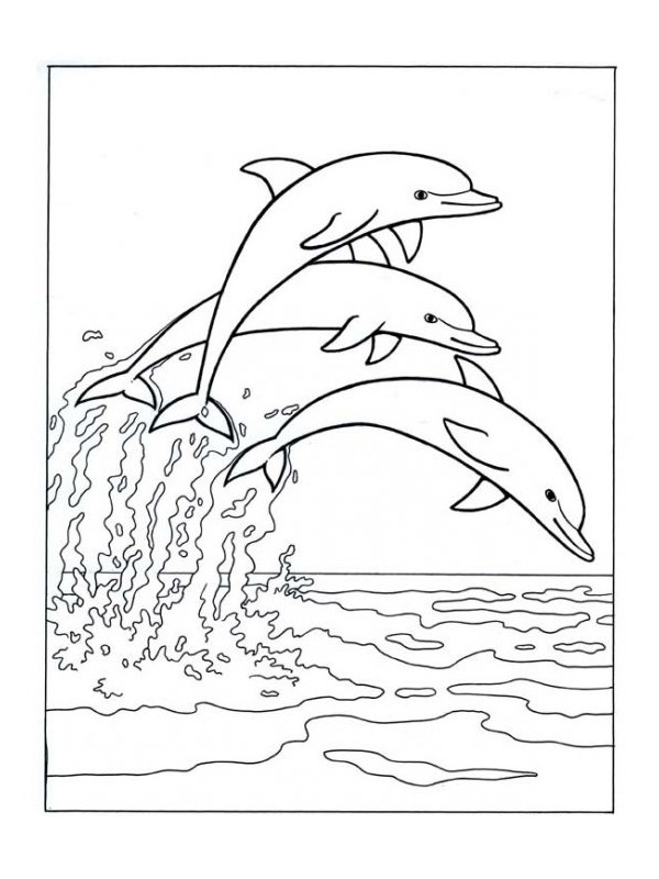 Dauphins sautant dans la mer Coloriage Dauphins sautant dans la mer Coloriage