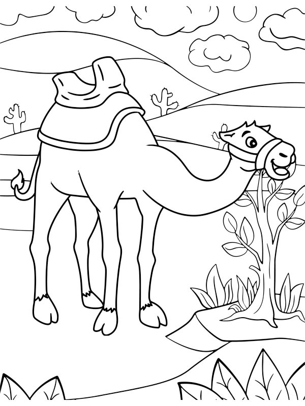 Drommédaris Coloriage Drommédaris Coloriage
