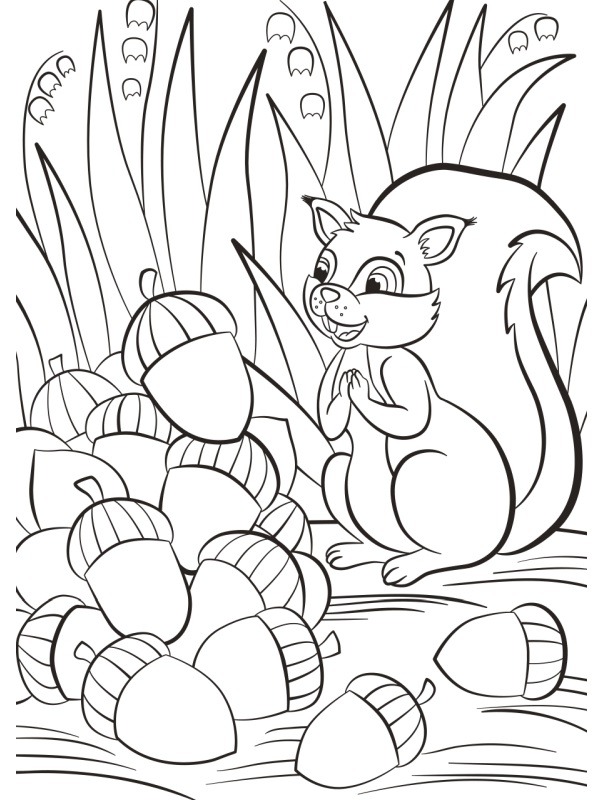 écureuil et gland Coloriage écureuil et gland Coloriage