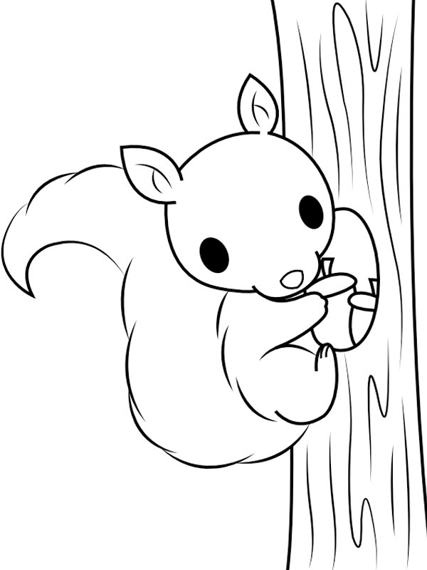 écureuil dans l'arbre Coloriage