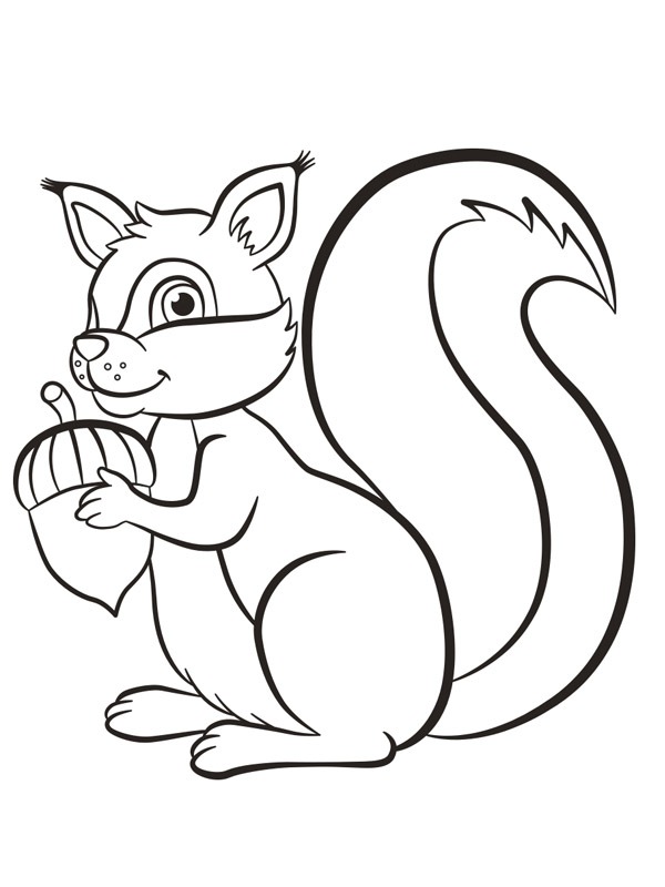 écureuil avec un gland Coloriage