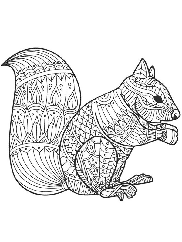 Écureuil pour adultes Coloriage Écureuil pour adultes Coloriage