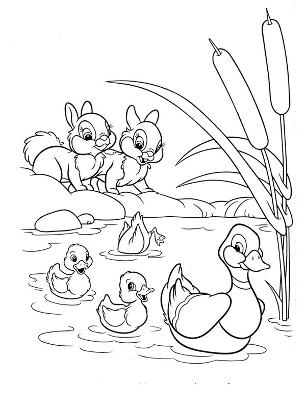 Canards et lapins Coloriage Canards et lapins Coloriage