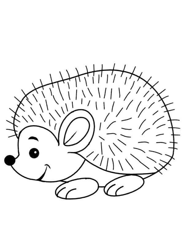 hérisson avec épines Coloriage hérisson avec épines Coloriage