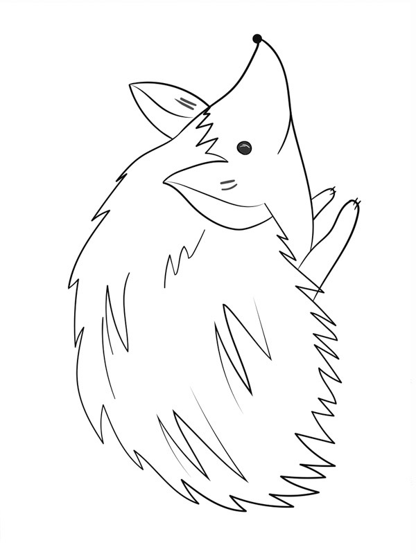 hérisson Coloriage hérisson Coloriage