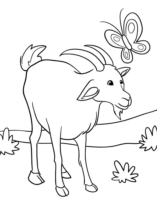 Chèvre et papillon Coloriage Chèvre et papillon Coloriage