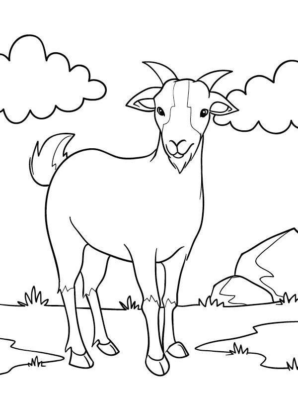 Chèvre qui regarde Coloriage Chèvre qui regarde Coloriage