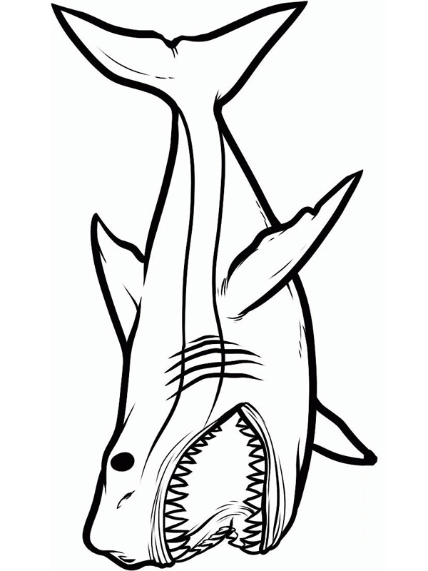requin dangereux Coloriage