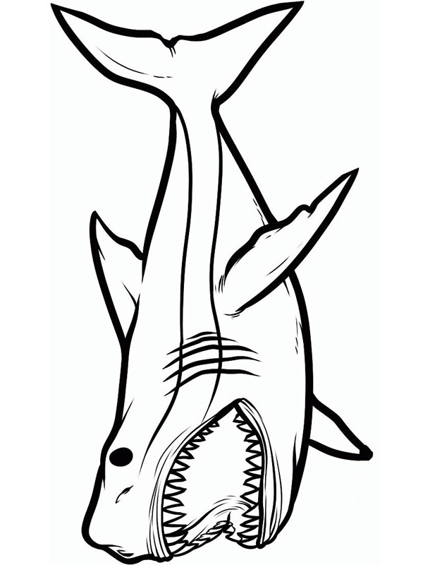 requin dangereux Coloriage requin dangereux Coloriage