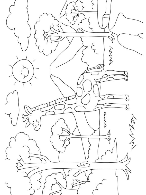 Girafe dans la nature Coloriage Girafe dans la nature Coloriage