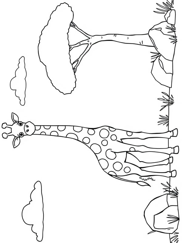 Girafe dans la nature Coloriage Girafe dans la nature Coloriage