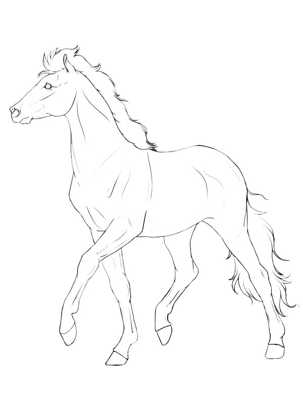 Cheval Haflinger Coloriage