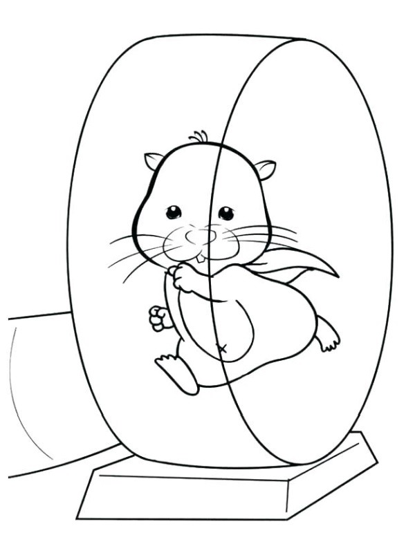 hamster dans la roue Coloriage