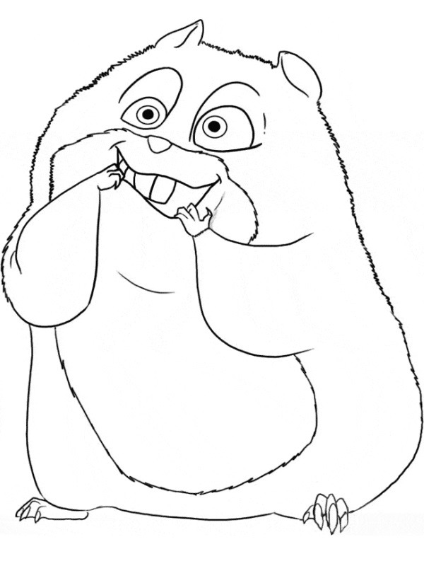 Hamster Coloriage Hamster Coloriage