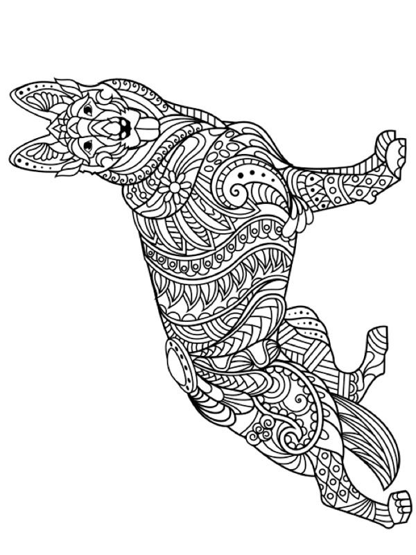 chien de berger adulte Coloriage chien de berger adulte Coloriage