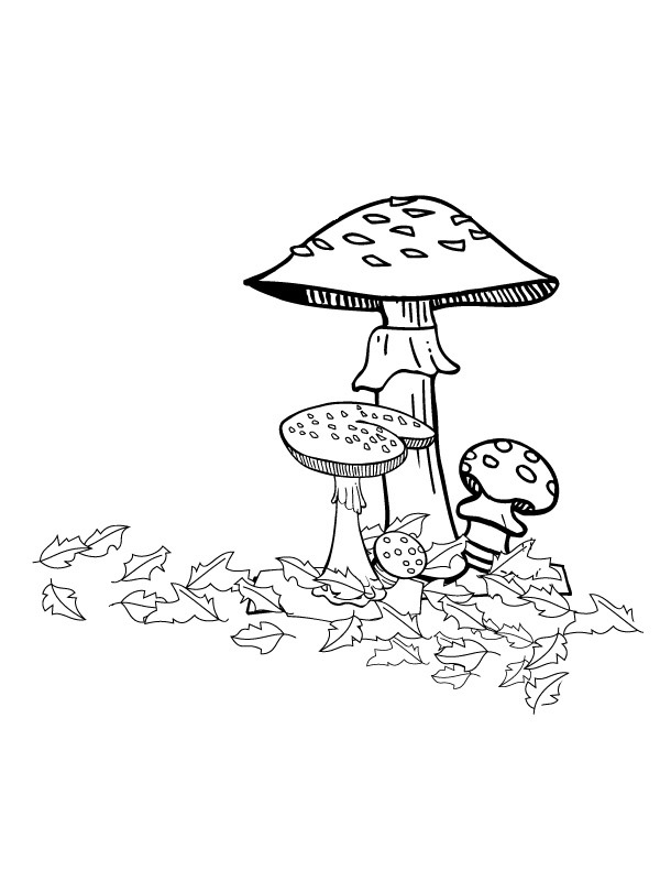 champignons d'automne Coloriage champignons d'automne Coloriage