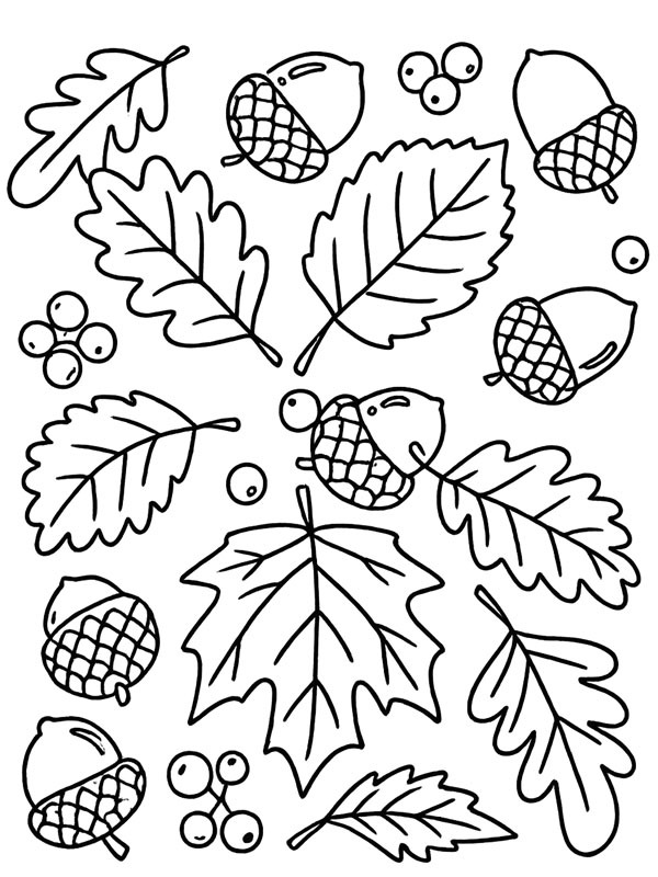 Feuilles d'automne et glands Coloriage Feuilles d'automne et glands Coloriage
