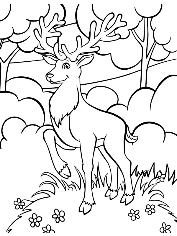 Cerf dans la nature Coloriage Cerf dans la nature Coloriage