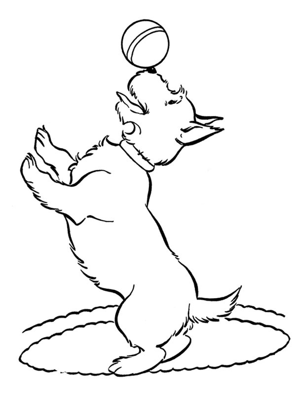 Chien avec ballon Coloriage Chien avec ballon Coloriage