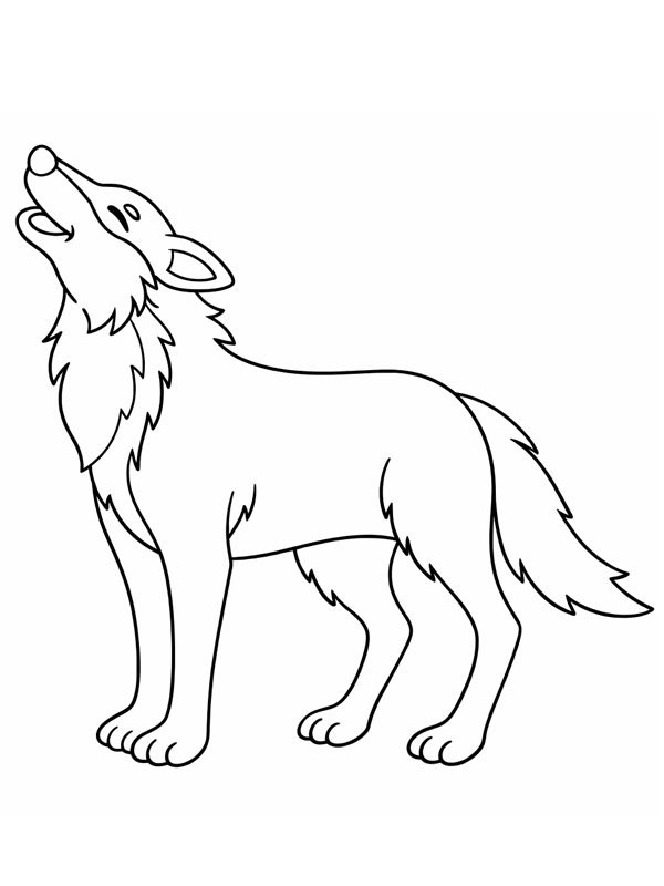 Loup qui hurle Coloriage