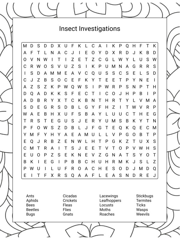 Mots cachés insectes Coloriage Mots cachés insectes Coloriage