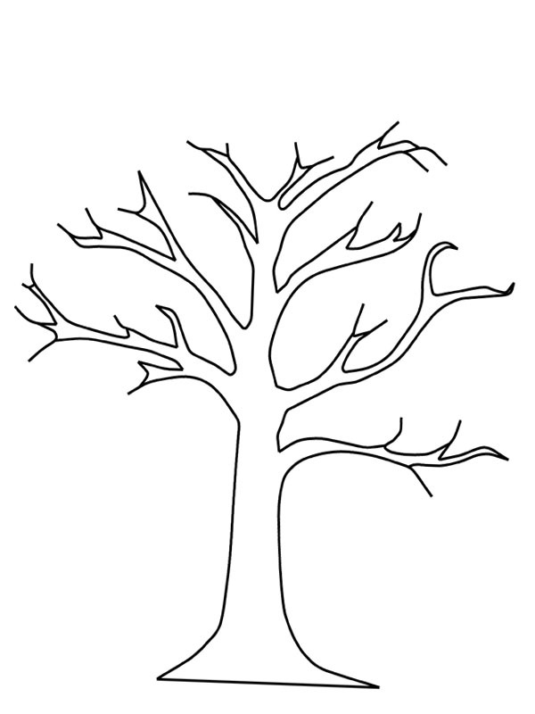 Arbre nu Coloriage Arbre nu Coloriage