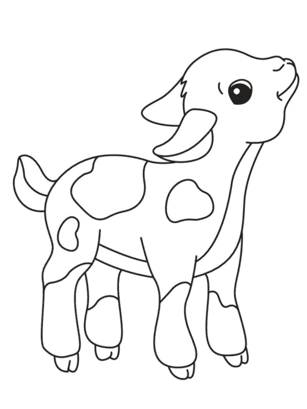 Veau Coloriage Veau Coloriage