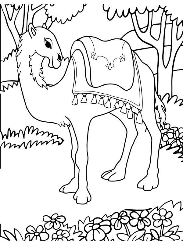 Chameau dans la nature Coloriage Chameau dans la nature Coloriage
