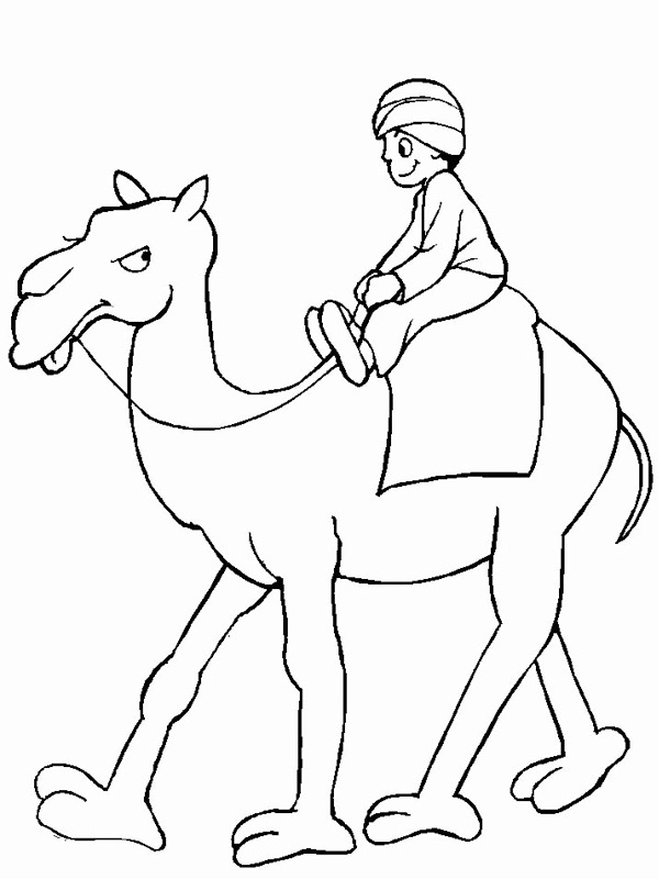 chameau Coloriage chameau Coloriage