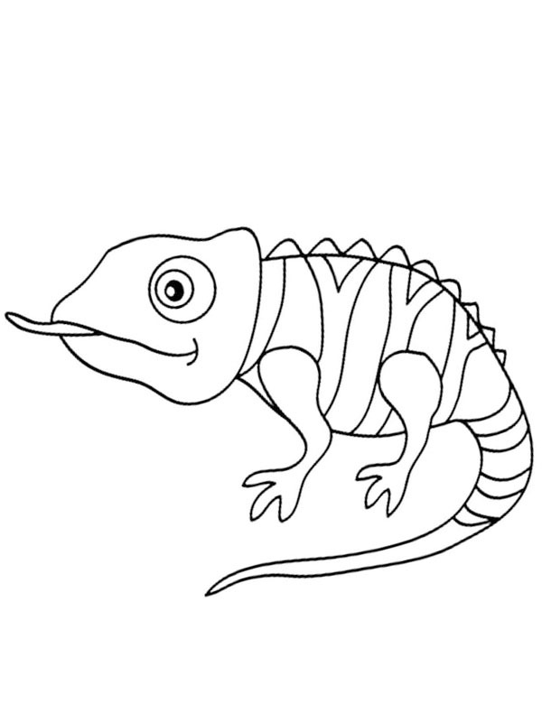 Caméléon tire la langue Coloriage