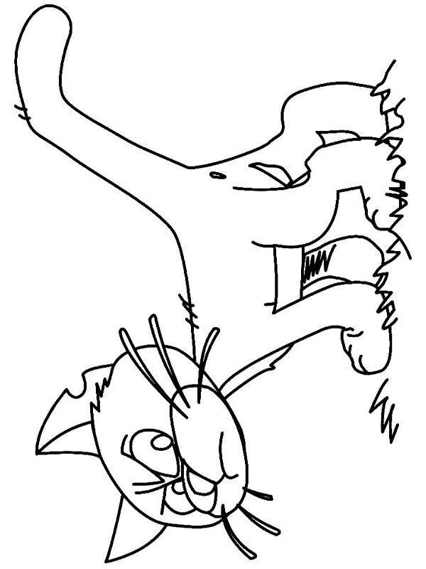 Chat Azrael Coloriage Chat Azrael Coloriage