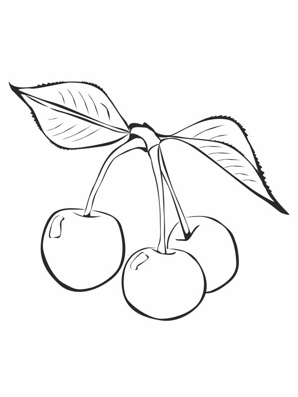 cerises Coloriage cerises Coloriage