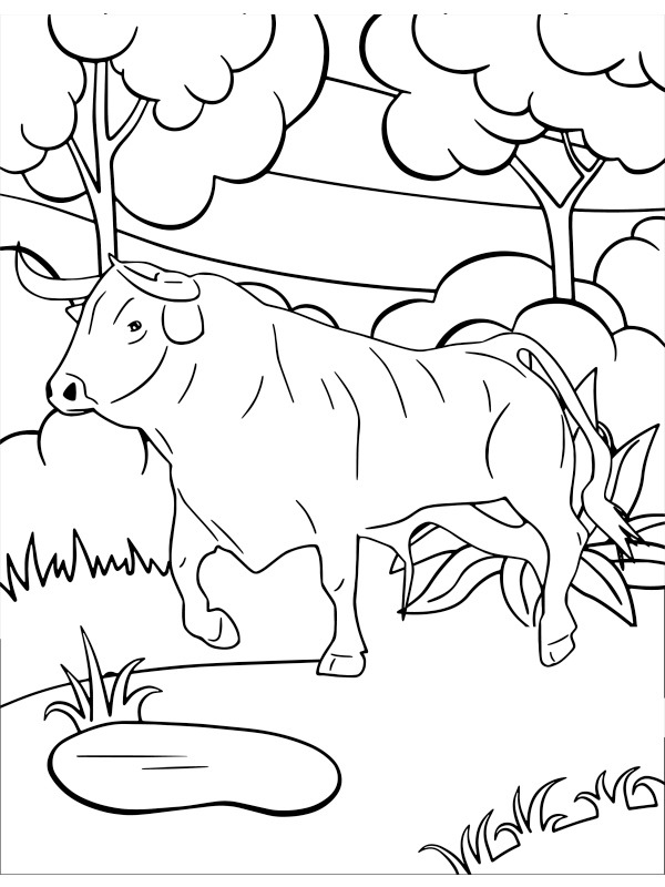 Vache avec cornes Coloriage Vache avec cornes Coloriage