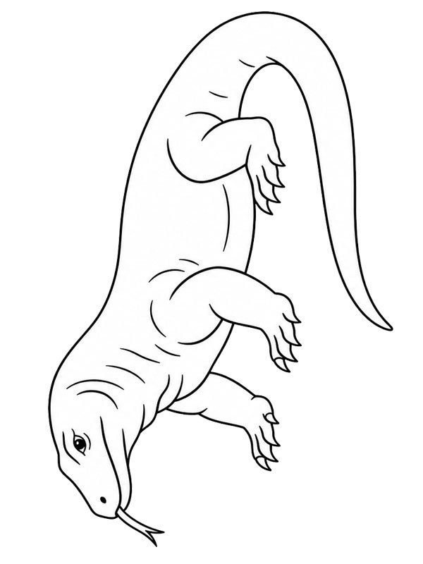 Dragon de Komodo Coloriage
