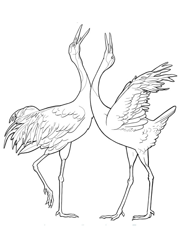grues Coloriage grues Coloriage