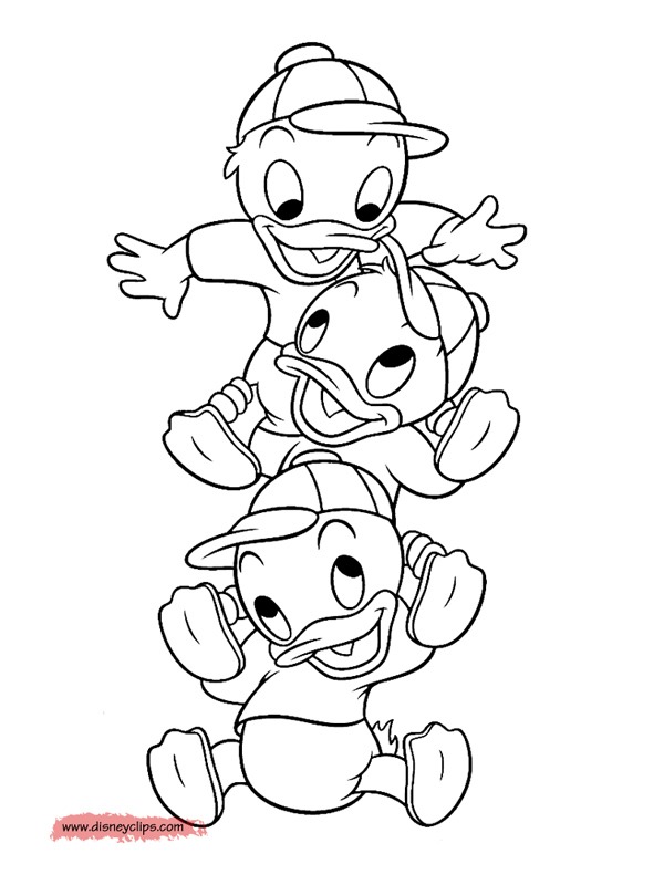 Riri, Fifi et Loulou Duck Coloriage Riri, Fifi et Loulou Duck Coloriage