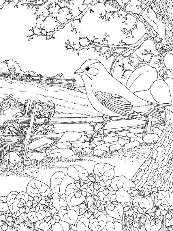 printemps pour adultes Coloriage printemps pour adultes Coloriage