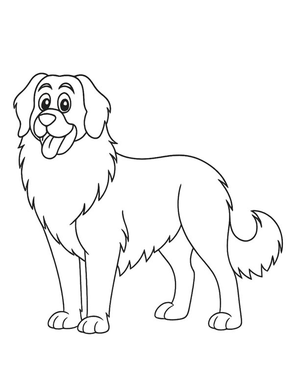Leonberg Coloriage Leonberg Coloriage