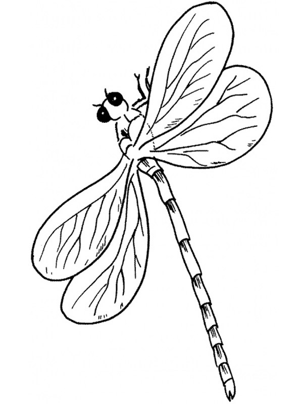 libellules Coloriage