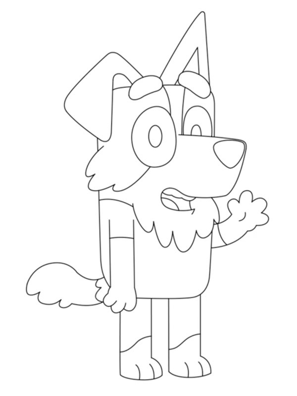 Mackenzie Border collie Coloriage Mackenzie Border collie Coloriage