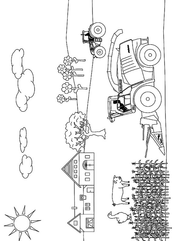 hachage maïs Coloriage hachage maïs Coloriage