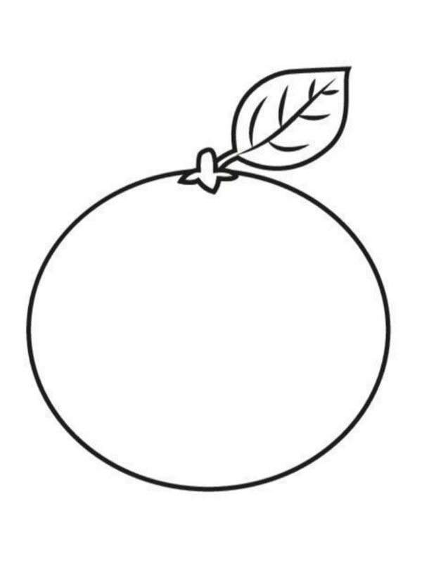 Mandarin Coloriage Mandarin Coloriage