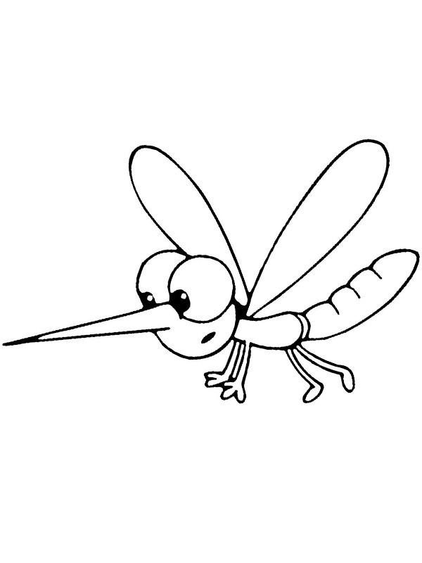 Moustique Coloriage Moustique Coloriage