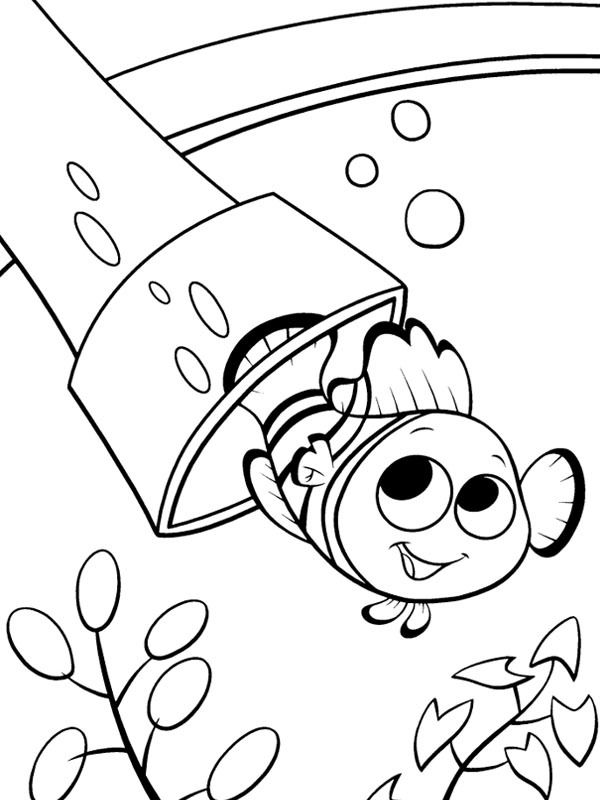 Nemo Coloriage Nemo Coloriage